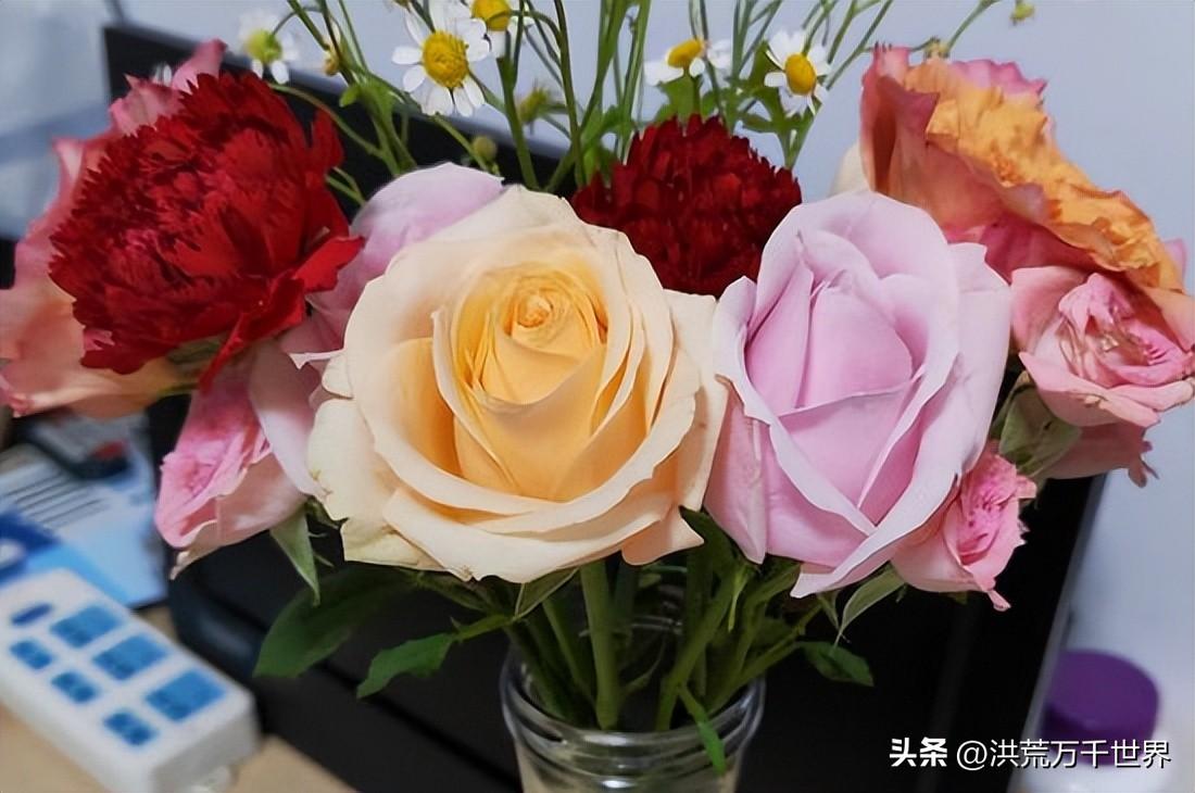 冬天醒花几小时(夏天鲜花醒花需要24小时)插图3