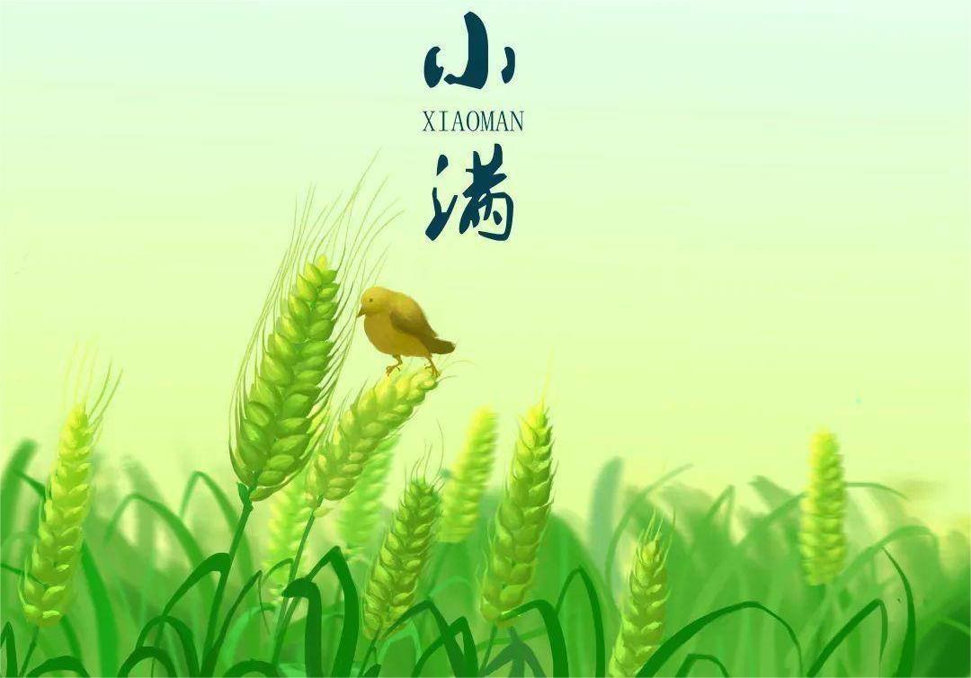 夏天吃什么利水祛湿(夏天吃啥祛湿)插图