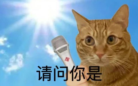 冰丝到底是什么(冰丝实际是什么)