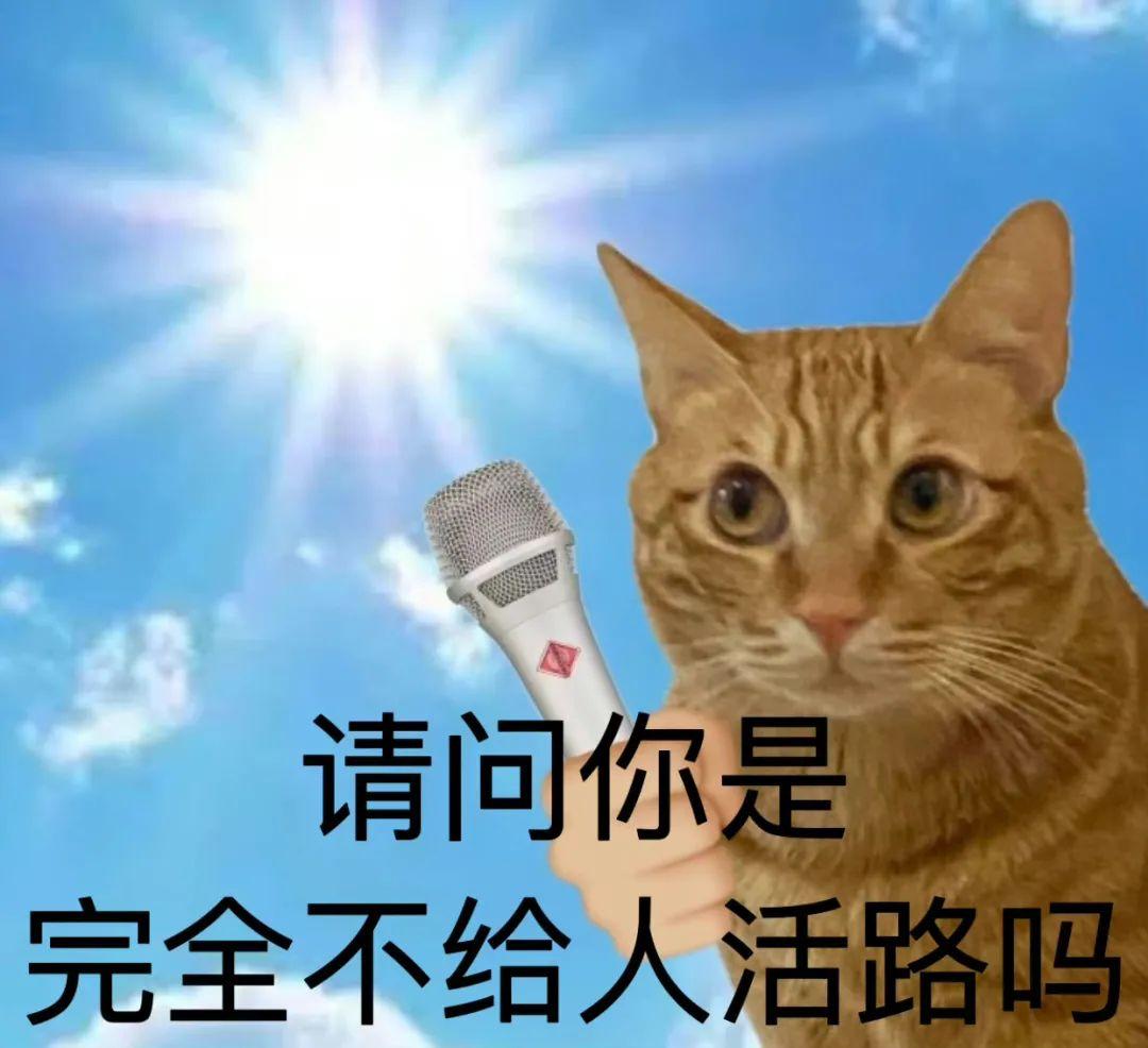 冰丝到底是什么(冰丝实际是什么)插图