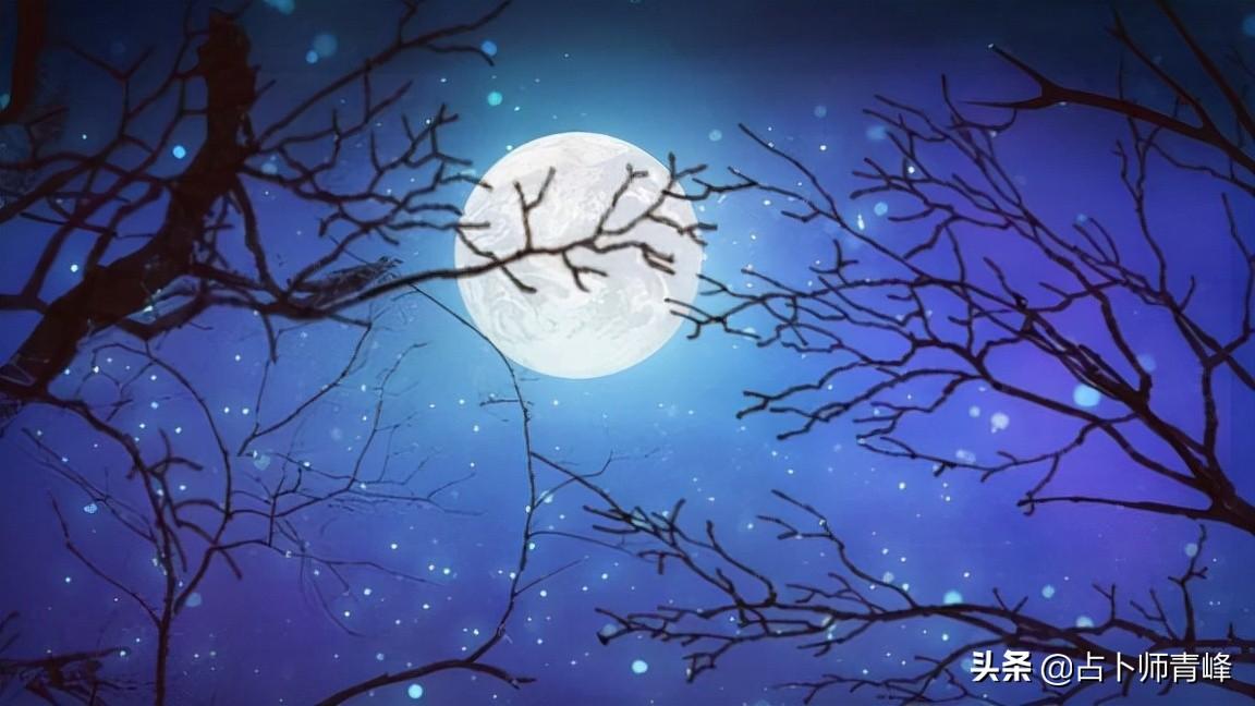 处女一生宠溺白羊的星座(白羊和处女座谈未来)插图3