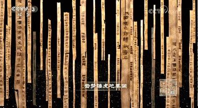 秦始皇是不是暴君(秦始皇是不是吕不韦儿子)插图