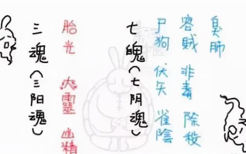 三魂七魄是哪三魂哪七魄(三魂是哪三魂)