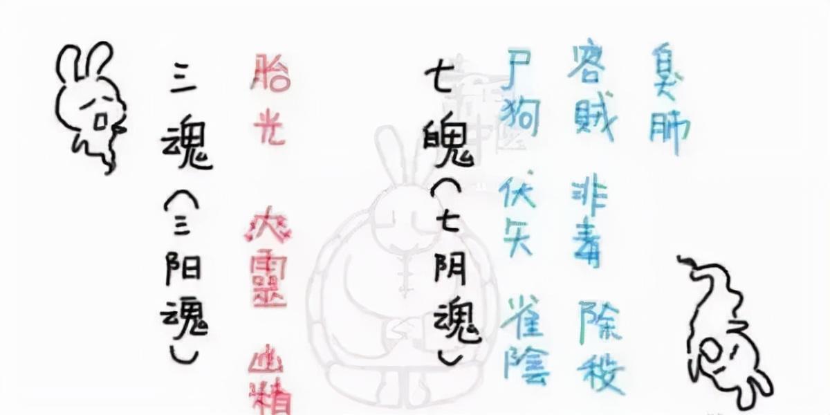 三魂七魄是哪三魂哪七魄(三魂是哪三魂)插图