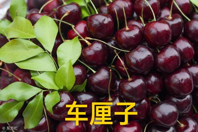 车厘子和樱桃什么区别 (樱桃和车厘子是一种水果吗)插图