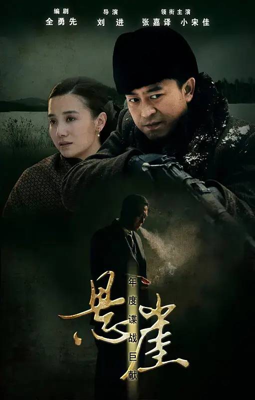 谍战片电视剧十大排名（中国评分最高10部谍战剧)插图4