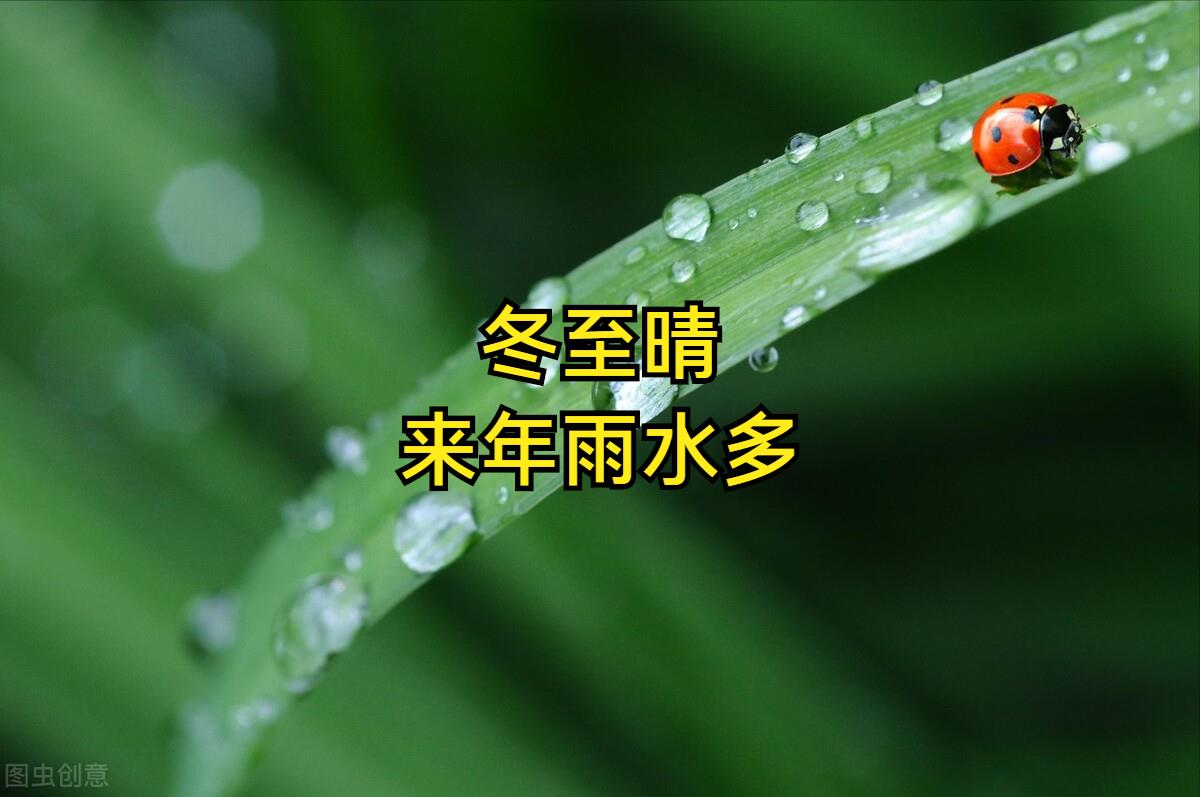 冬至晴天有什么预兆吗(冬至有什么特殊含义)插图5