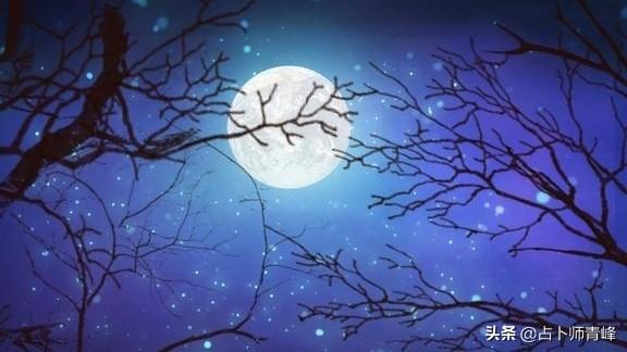 处女一生宠溺白羊的星座(白羊和处女座谈未来)插图2
