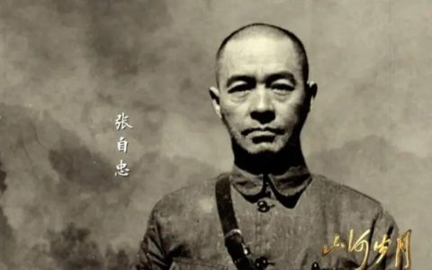 抗日名将张自忠抽鸦片烟为何屡抽屡戒(抗日名将张自忠将军)