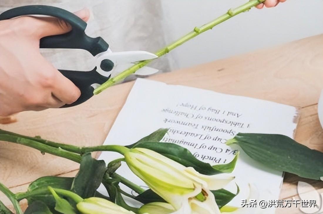鲜花要怎么养才能放久一点(鲜花放醋可以久一点吗)插图1