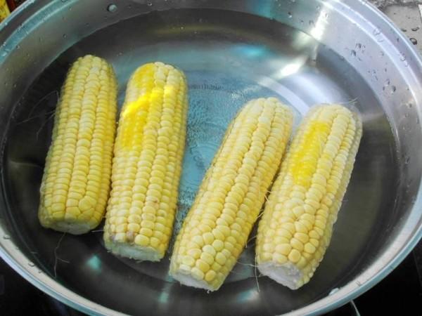 煮玉米先冷水还是热水好(煮玉米用热水还是冷水)插图4