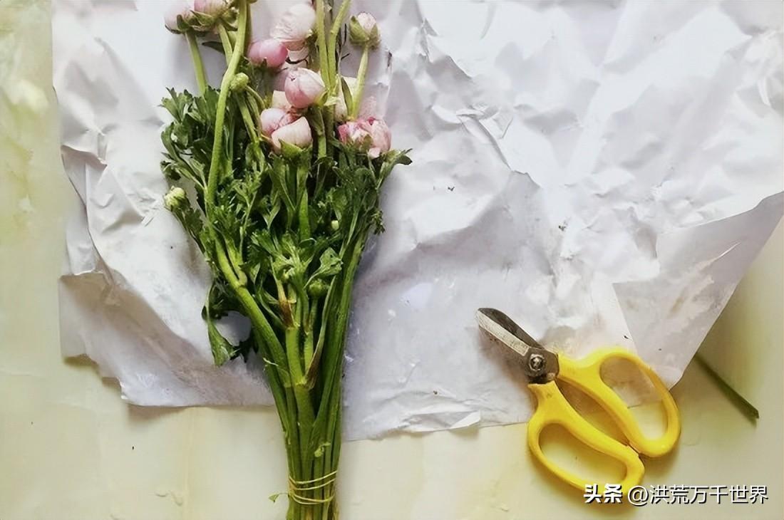 冬天醒花几小时(夏天鲜花醒花需要24小时)插图1