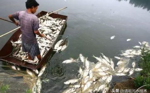 中国十大水污染事件(2020年中国十大水污染事件)