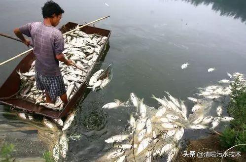 中国十大水污染事件(2020年中国十大水污染事件)插图