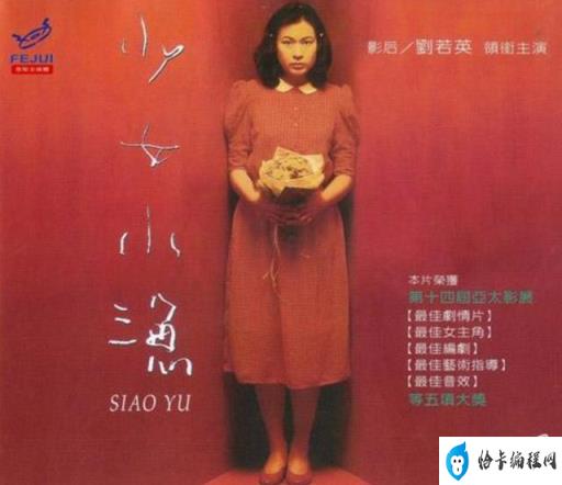 刘若英演过的电影大全(候鸟电影刘若英)插图