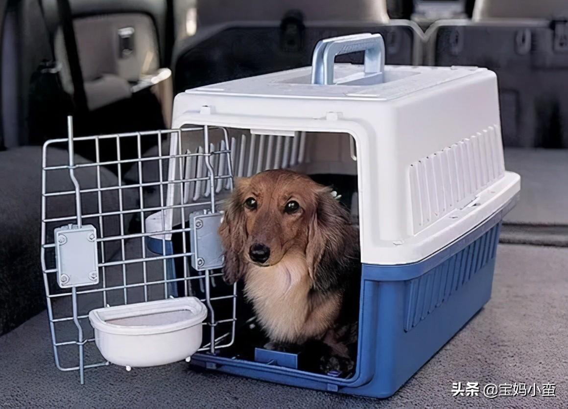 乘坐飞机的注意事项有哪些(乘坐飞机注意事项与要求)插图4