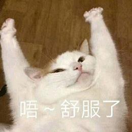 冰丝到底是什么(冰丝实际是什么)插图2