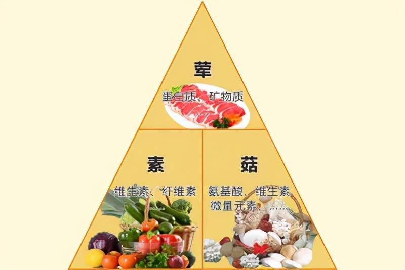 中老年人吃蘑菇有什么好处(常吃蘑菇对身体有什么好处)插图