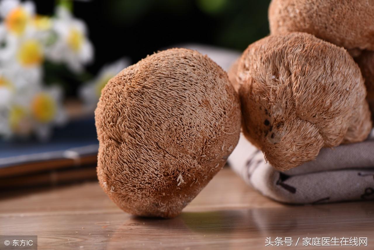 蘑菇有什么好处 (羊肚菌的功效与作用)插图3