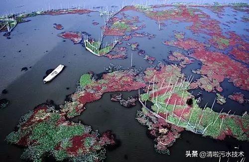 中国十大水污染事件(2020年中国十大水污染事件)插图3