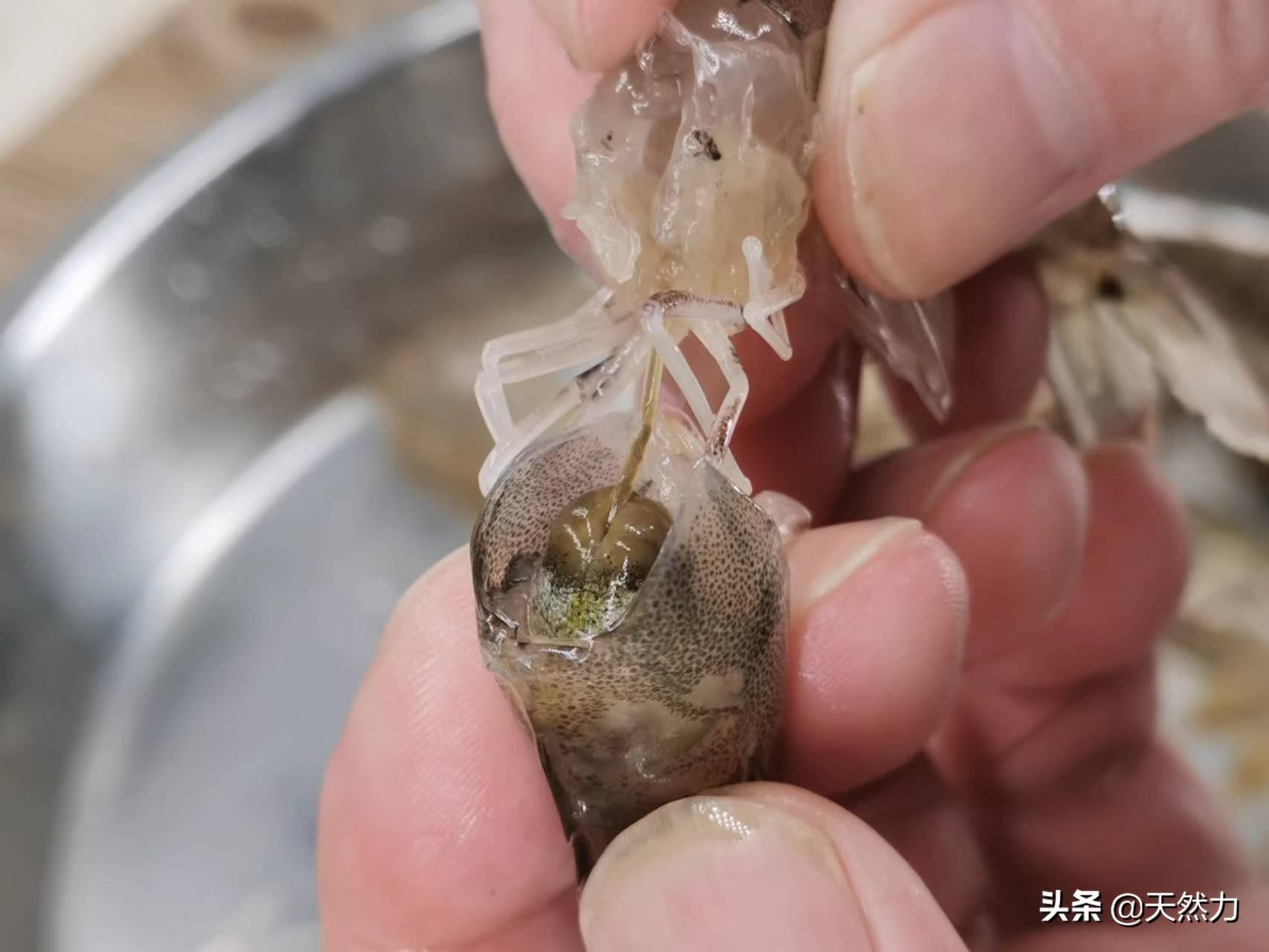 虾仁蒸双蛋怎么做好吃(虾仁蒸蛋好吃做法)插图3