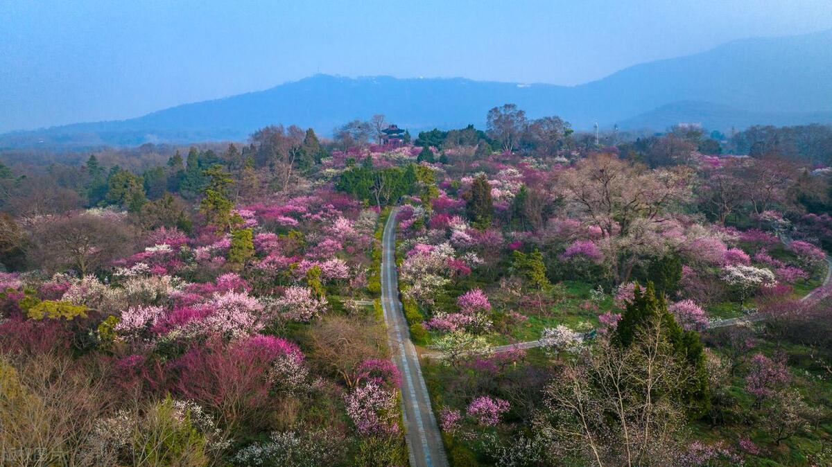 世界十大赏花胜地有哪些(世界最美的十大赏花地方)插图3