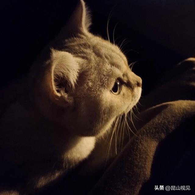 留学生必读书目推荐(大学生读书推荐)插图2