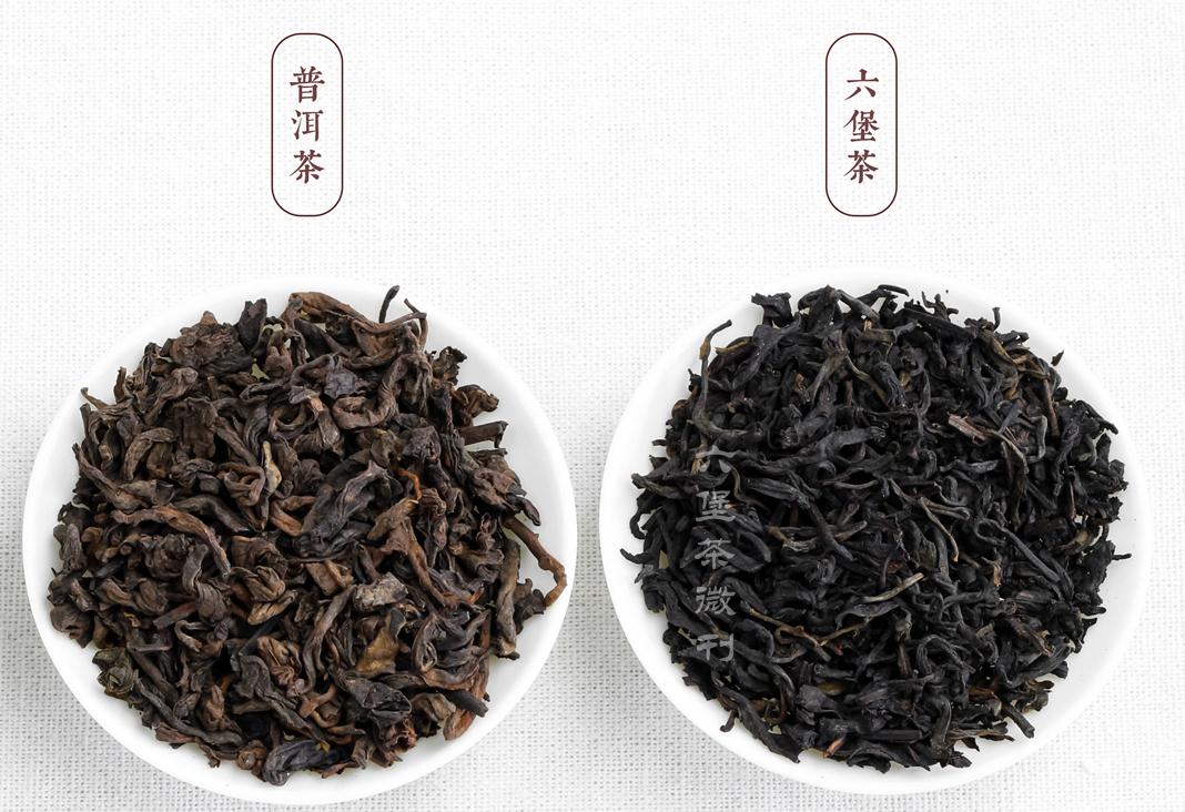 六堡茶属于什么茶(六堡茶属于什么茶功效如何)插图2