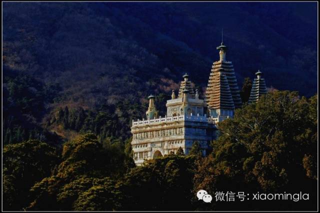 北京寺庙排行榜（北京10大最灵的寺庙排行）插图8