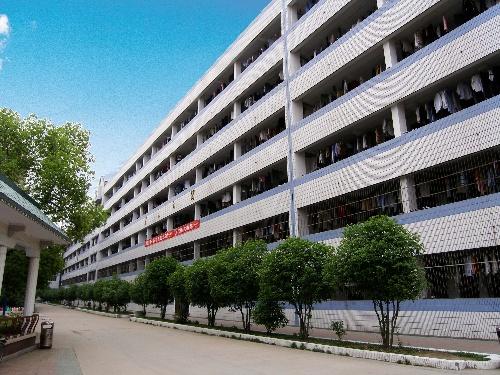 湖北最牛的十大高中(湖北各市顶尖高中实力榜)插图2