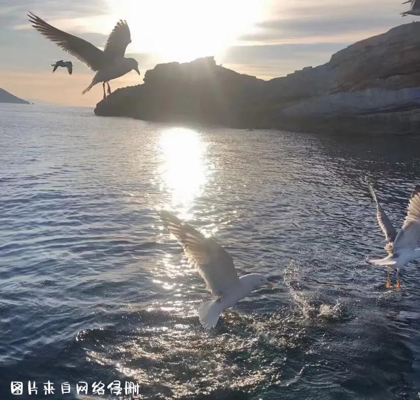 好听的20首歌曲（排名不分先后）插图3