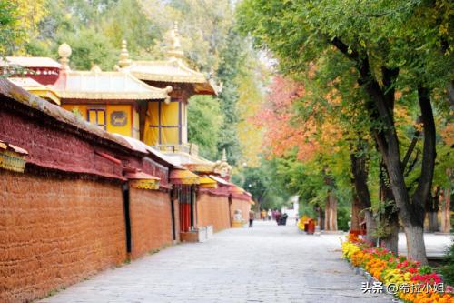 来拉萨一定要去的10个旅游景点，你都去过吗？（上篇）插图10
