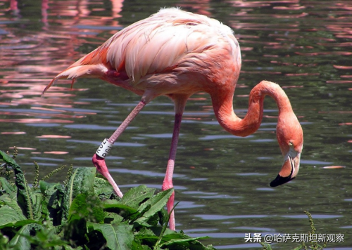 哈萨克斯坦五大景点(盘点哈萨克斯坦必玩的五大景区）插图