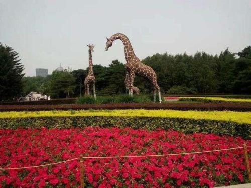 长春十大景点(长春旅游必玩10大景区推荐)插图5