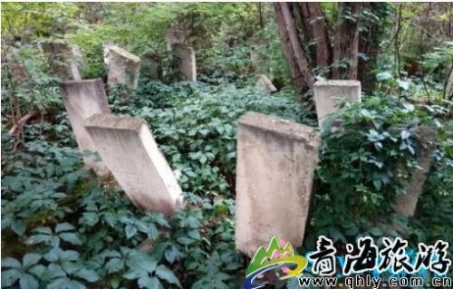 摩尔多瓦十大景点(盘点摩尔多瓦必玩的十大景区)插图7