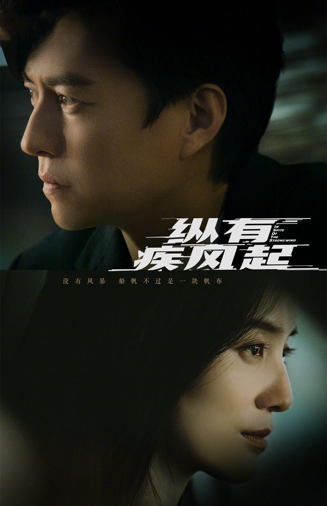 2023评分最高的10部剧排名（电视剧《狂飙》第二）插图7
