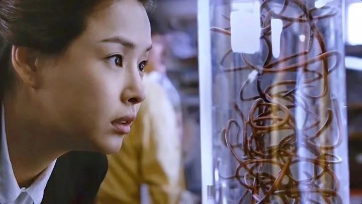 灾难电影排行前十名有哪些(强烈推荐10部优秀灾难电影)插图4