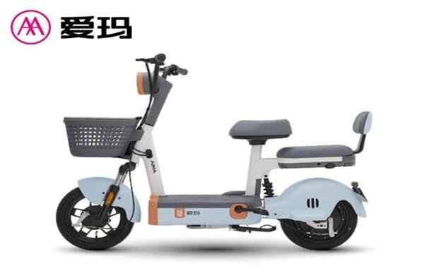 中国电动车十大名牌排行榜排行网(全国电动车质量排名)插图1 中国电动车十大名牌排行榜排行网(全国电动车质量排名)插图1