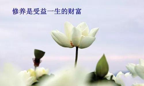 高素质人的十大表现(究竟有哪些特质和表现呢)插图6