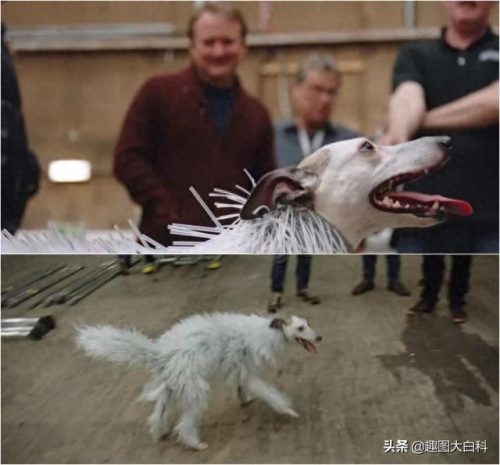 十大电影票拍照图片排行榜(电影票在线订票)插图22