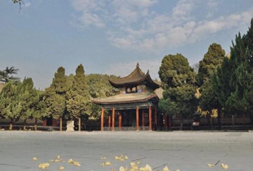 陕西博物馆收入排名前十(陕西博物馆开放至今的收入)插图6