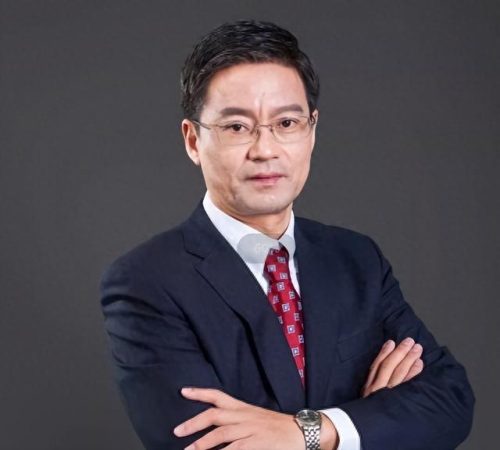 南京十大企业家排行榜(南京十大软件公司排名)插图2