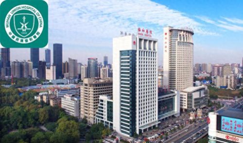 中国医院试验室排名前十(第三方医学实验室排名)插图12
