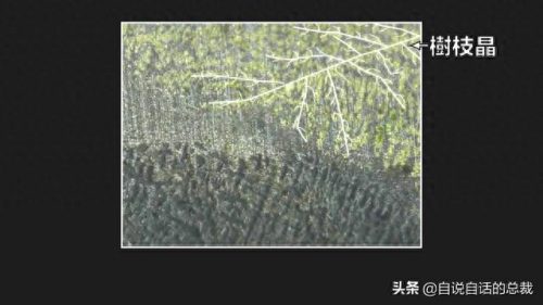 暗纹纹身十大禁纹排行榜(不可以纹的十大经典纹身)插图79
