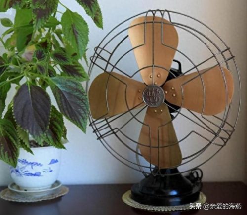 十大高端变色镜头排行榜(十大变焦镜头排行榜)插图12