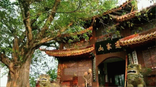 金华肺心病医院排名前十(金华哪个医院看肺部比较好)插图9