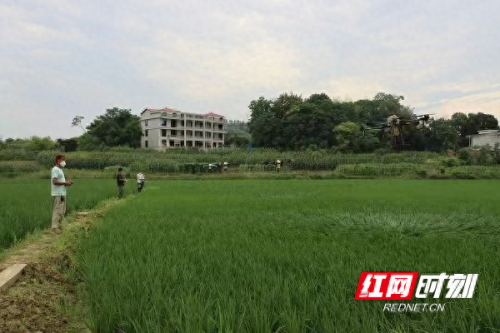 双清区快递无人机排名前十(双清区无人机快递)插图2