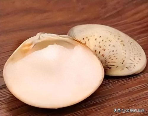 十大高端变色镜头排行榜(十大变焦镜头排行榜)插图8