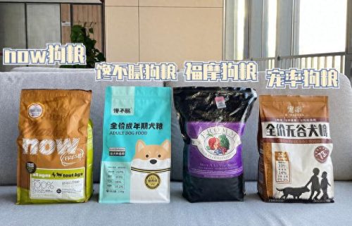 体味不臭的十大狗狗排行榜(狗狗除味剂十大排名)插图11