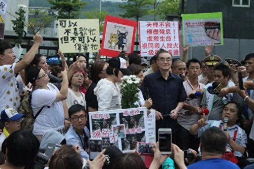 台湾正士作(台湾神剧十大巅峰之作)插图13